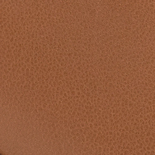 Alae - Image 6
