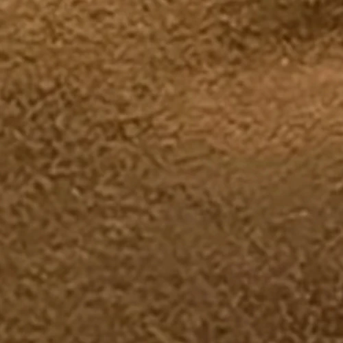 Amina - Image 6