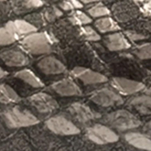 Annette - Image 6