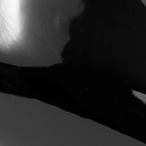 Betsy - Image 6
