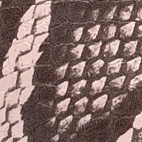 Camera - Image 6