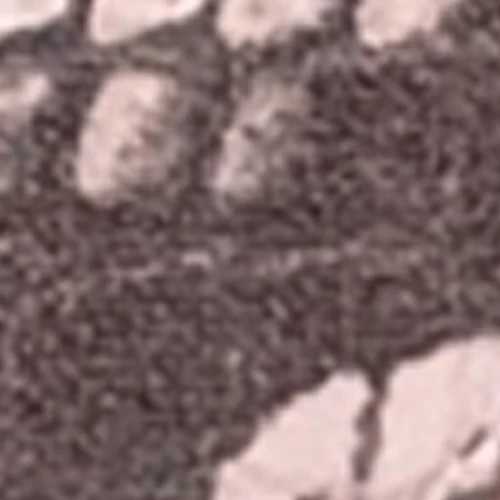 Cinzia - Image 6