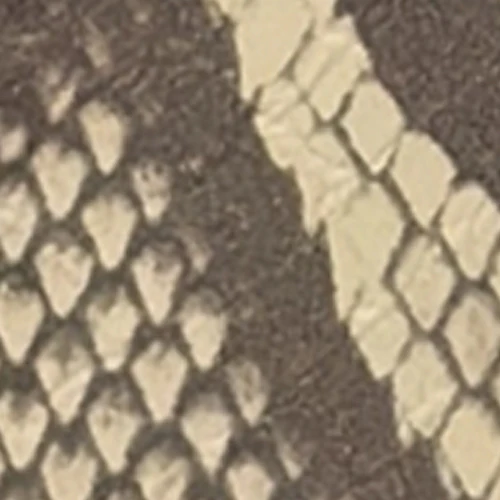 Cinzia - Image 6