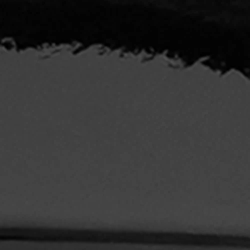 Daffodil - Image 6