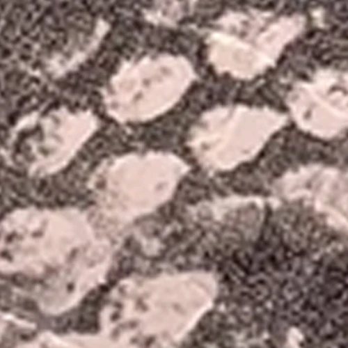 Drita - Image 6