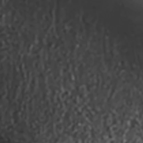 Felice - Image 6
