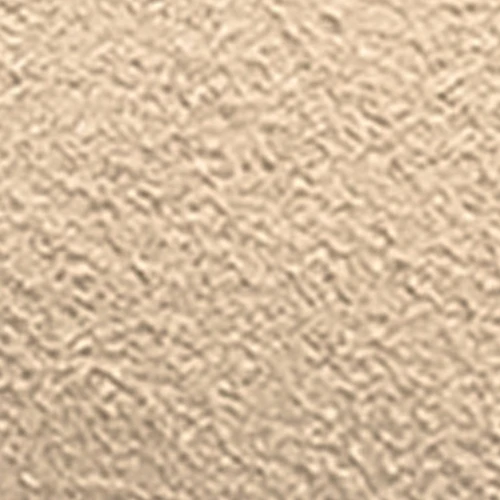 Jett - Image 6