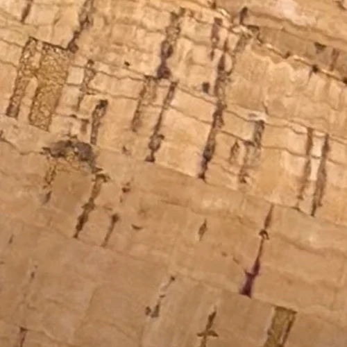 Jilda - Image 6