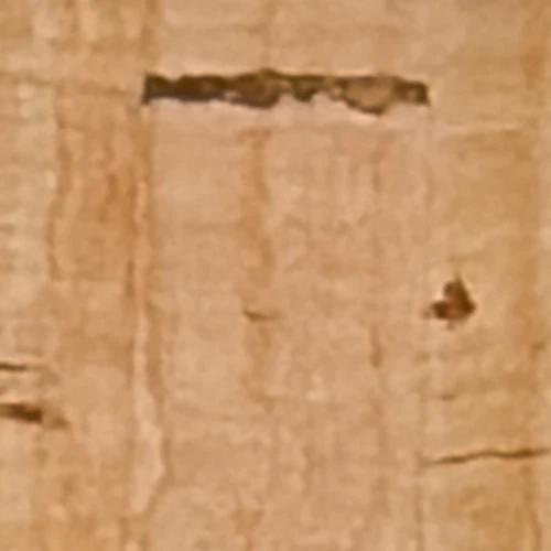 Liana - Image 6