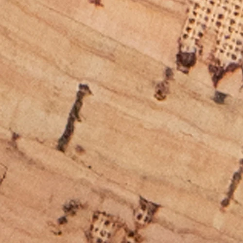 Nora - Image 6