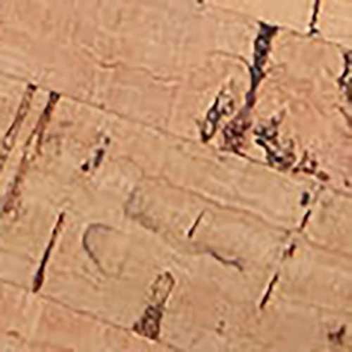 Willis Cork - Image 6