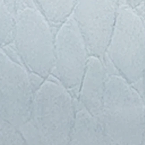Wonder - Image 6