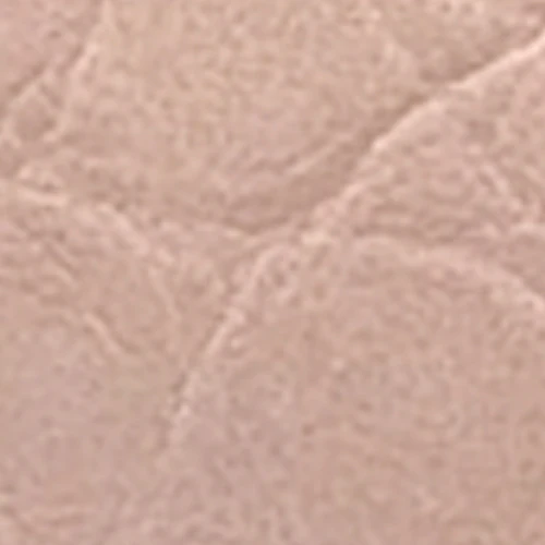 Wonder - Image 6